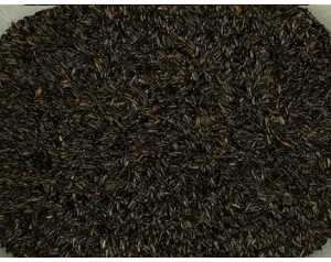 NEGRILLO VINCI 4 KG.