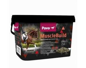 Pavo  MuscleBuild
