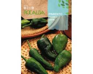PIMIENTO DE PADRÓN