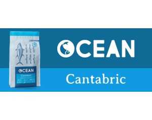 OCEAN CANTABRIC  12KG
