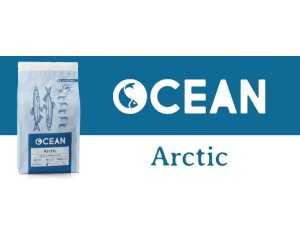 OCEAN ARCTIC  2KG